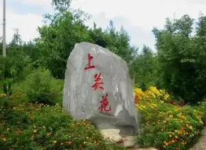Dali Shangguan Flower