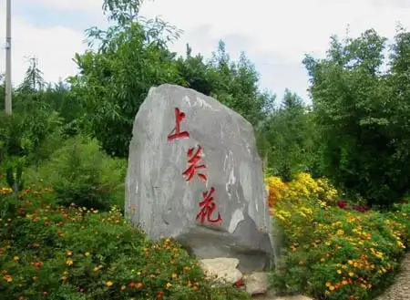 Dali Shangguan Flower